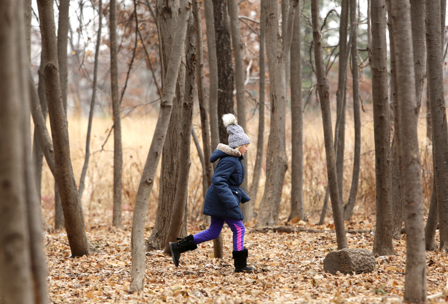 Outdoors at Aldo Leopold Nature Center